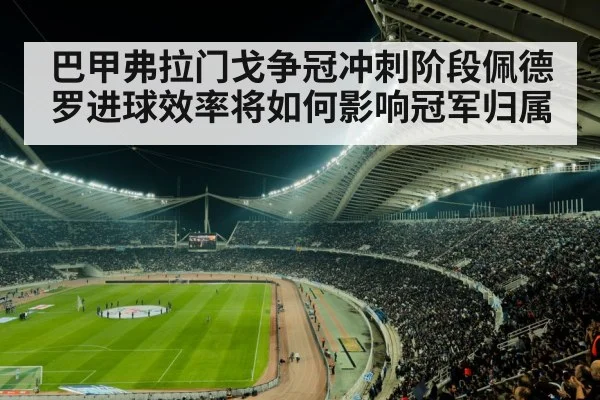 巴甲弗拉门戈争冠冲刺阶段佩德罗进球效率将如何影响冠军归属